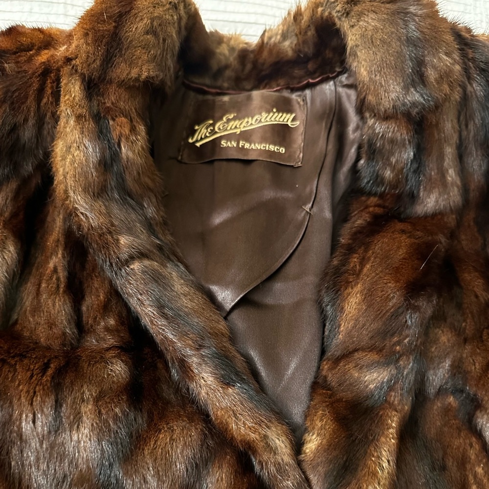Beaver Fur